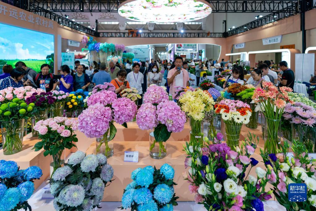 小太阳网官网2019